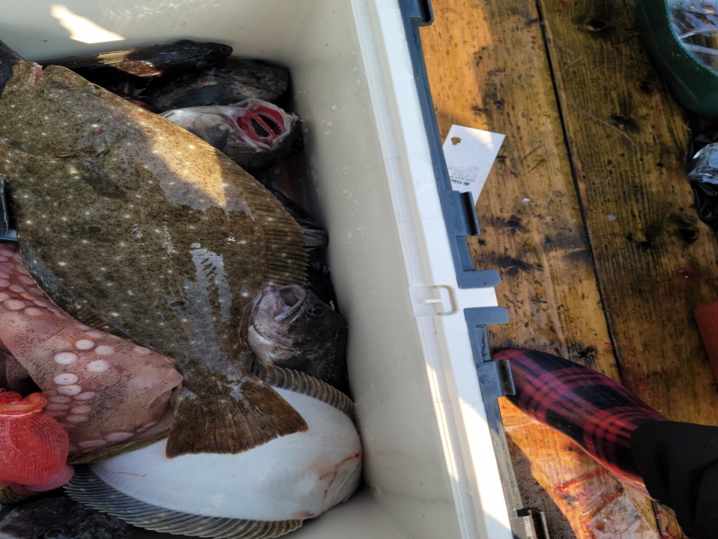 레인져호 조황갤러리입니다.