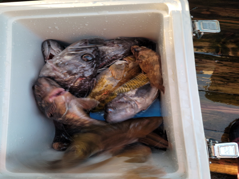 레인져호 조황갤러리입니다.