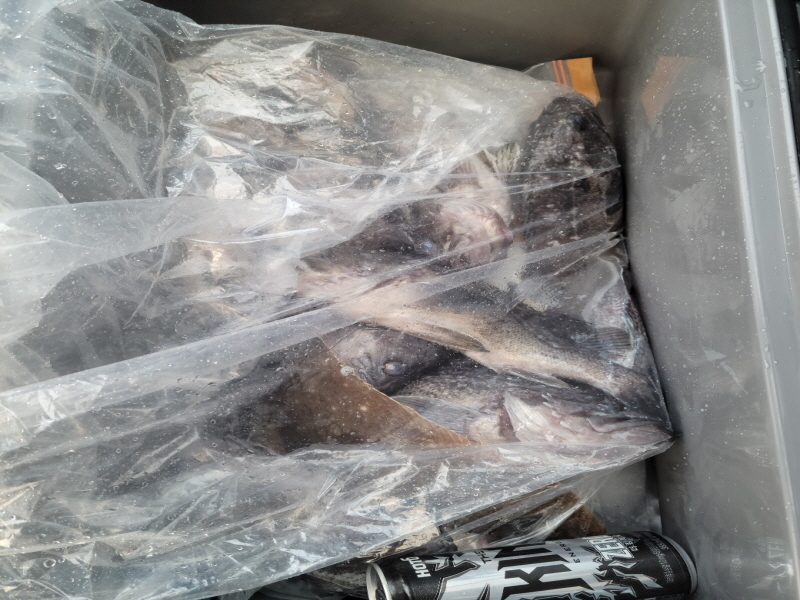 레인져호 조황갤러리입니다.