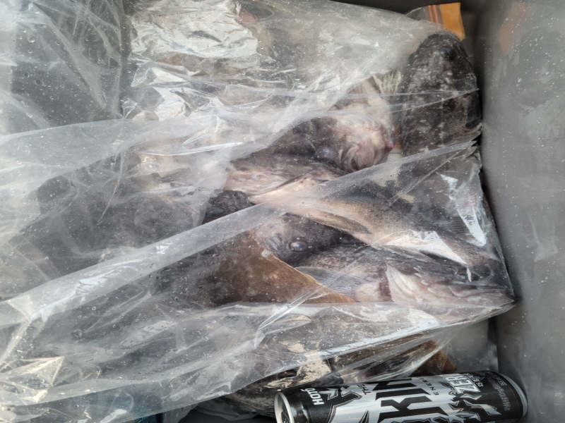 레인져호 조황갤러리입니다.