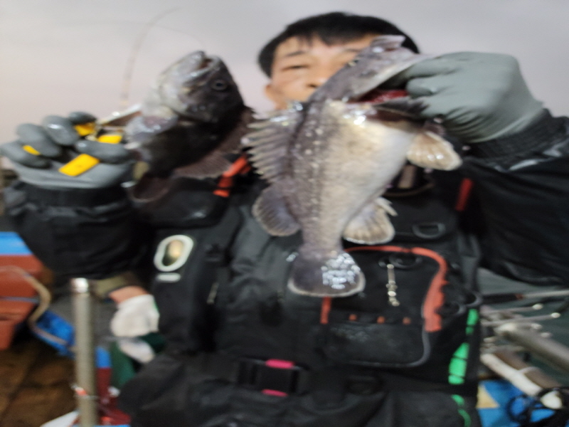 레인져호 조황갤러리입니다.