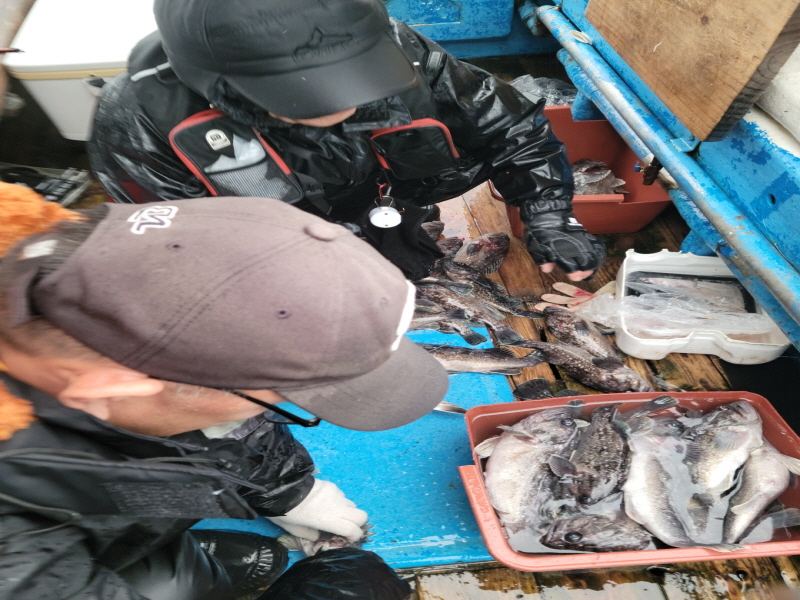 레인져호 조황갤러리입니다.