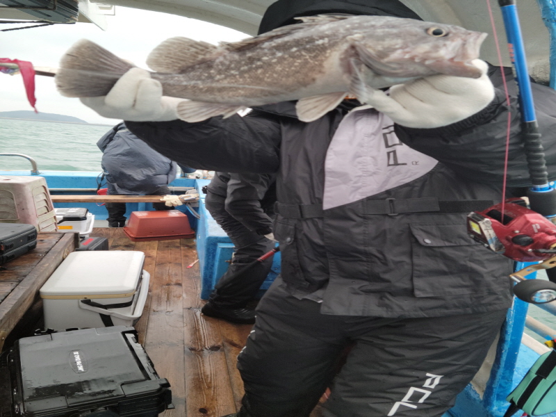 레인져호 조황갤러리입니다.