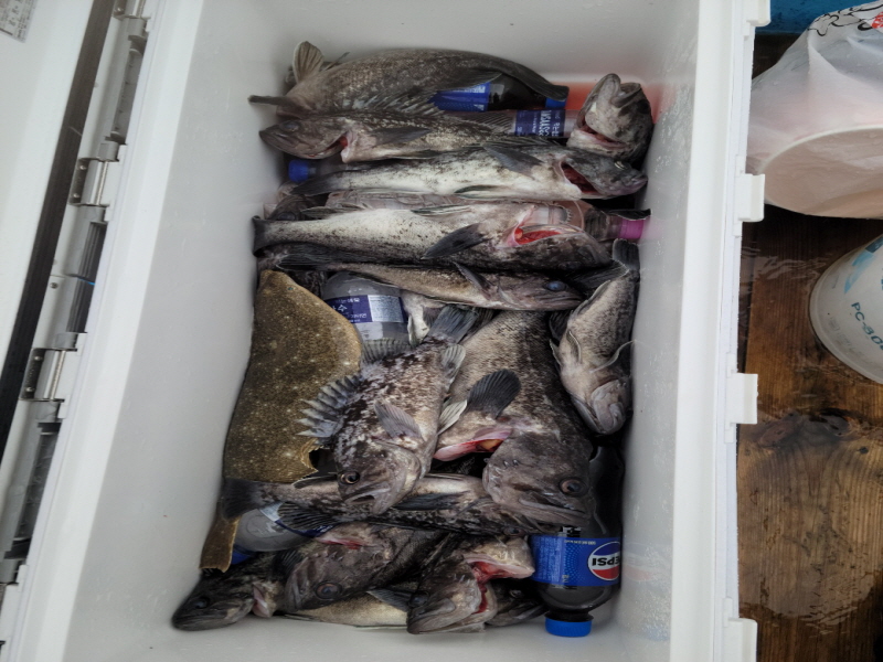 레인져호 조황갤러리입니다.