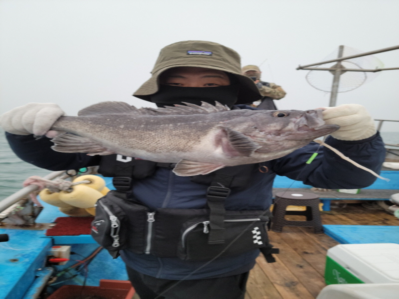 레인져호 조황갤러리입니다.