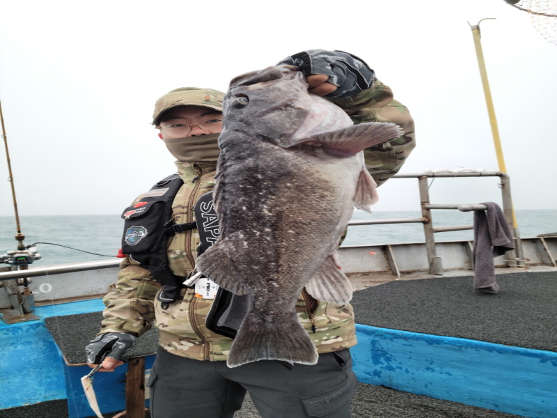 레인져호 조황갤러리입니다.