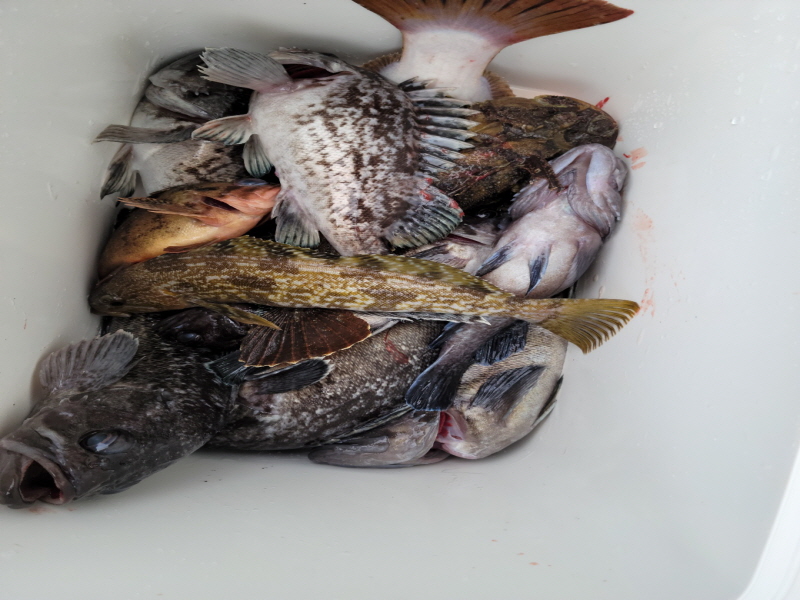 레인져호 조황갤러리입니다.