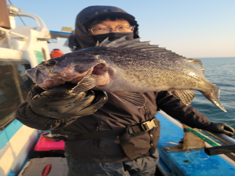 레인져호 조황갤러리입니다.