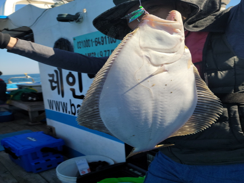 레인져호 조황갤러리입니다.