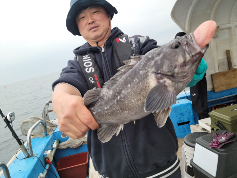 레인져호 조황갤러리입니다.