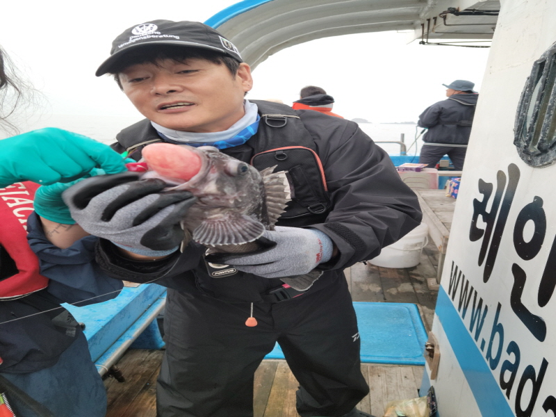 레인져호 조황갤러리입니다.