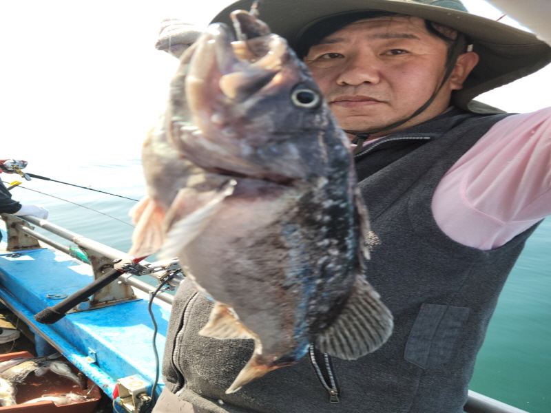 레인져호 조황갤러리입니다.