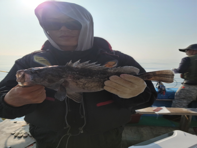 레인져호 조황갤러리입니다.