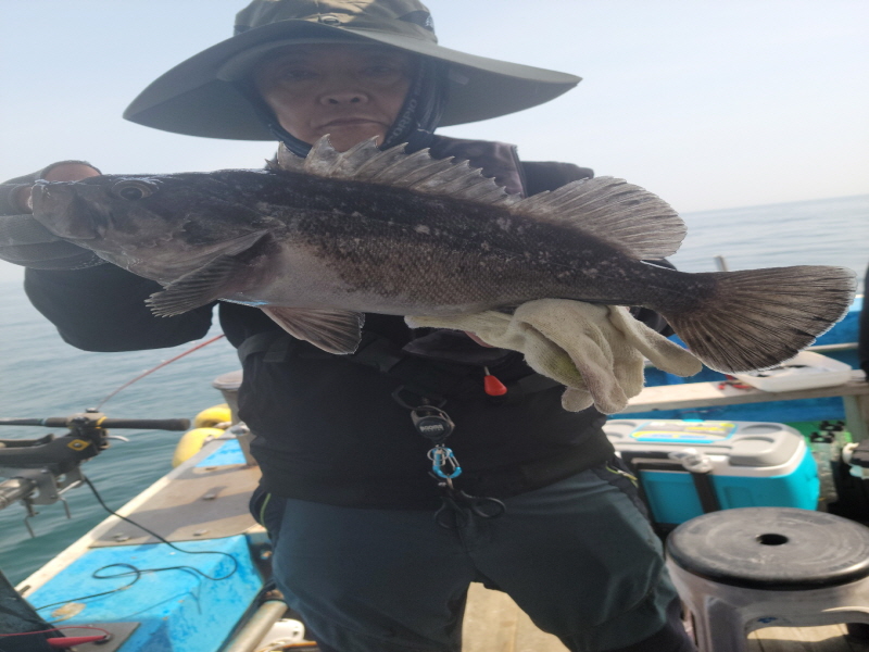 레인져호 조황갤러리입니다.