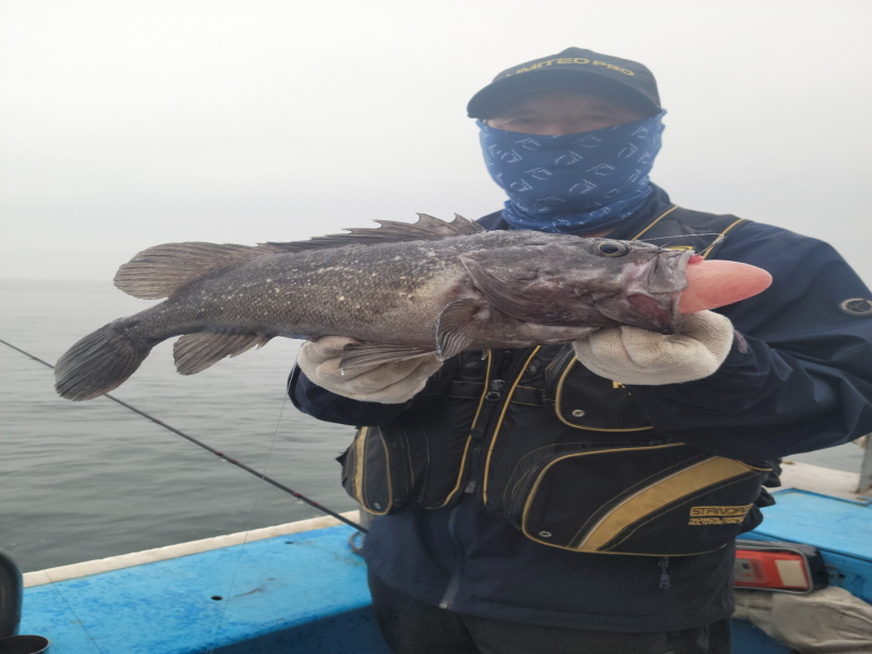 레인져호 조황갤러리입니다.