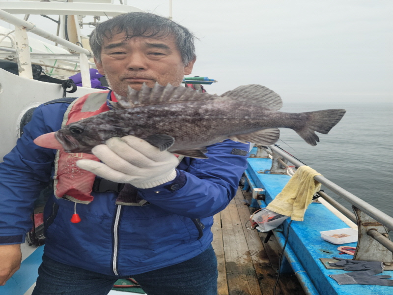 레인져호 조황갤러리입니다.