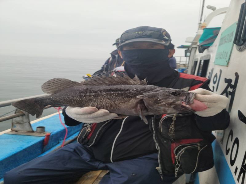 레인져호 조황갤러리입니다.
