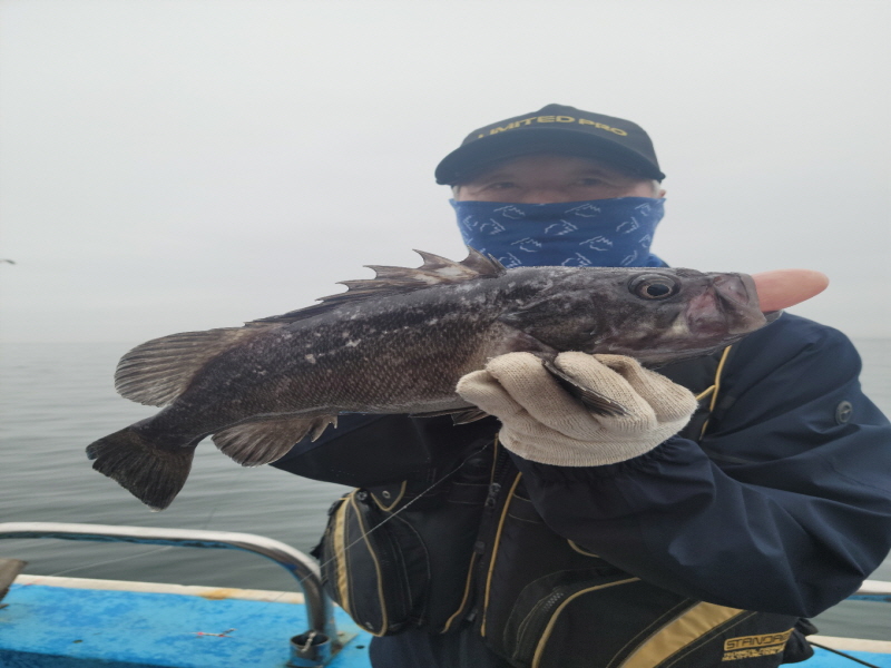 레인져호 조황갤러리입니다.