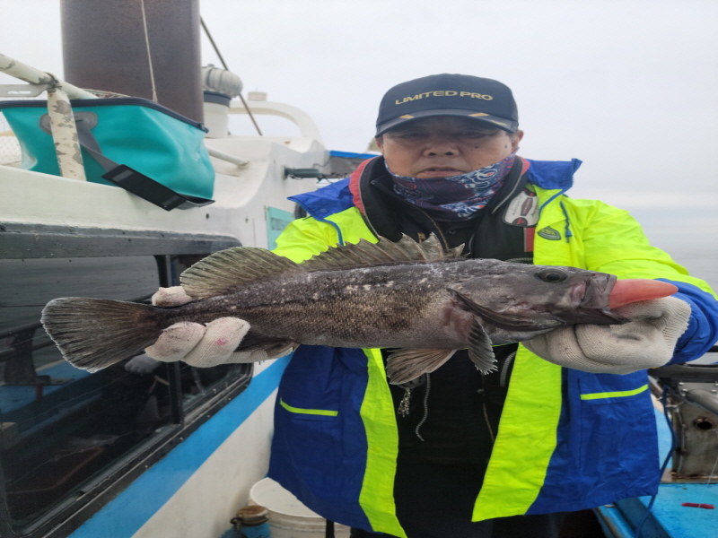 레인져호 조황갤러리입니다.