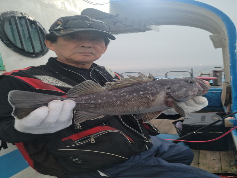 레인져호 조황갤러리입니다.