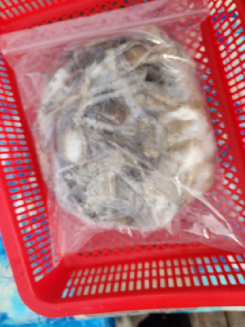 레인져호 조황갤러리입니다.