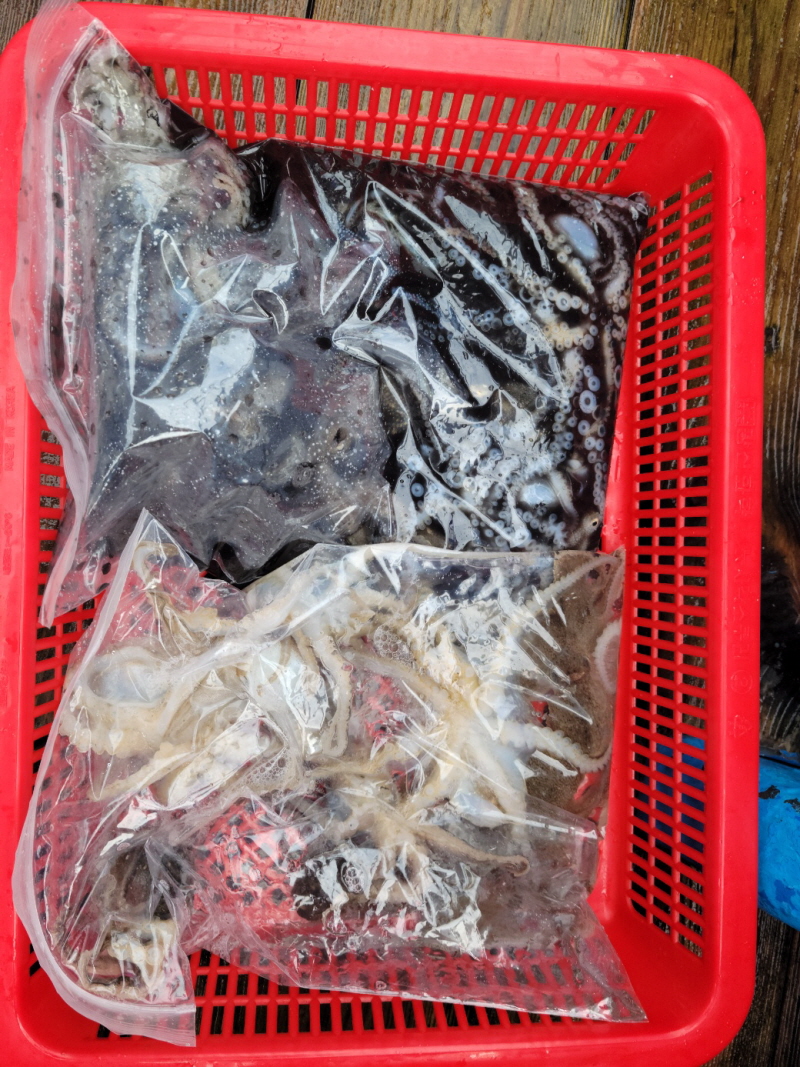 레인져호 조황갤러리입니다.