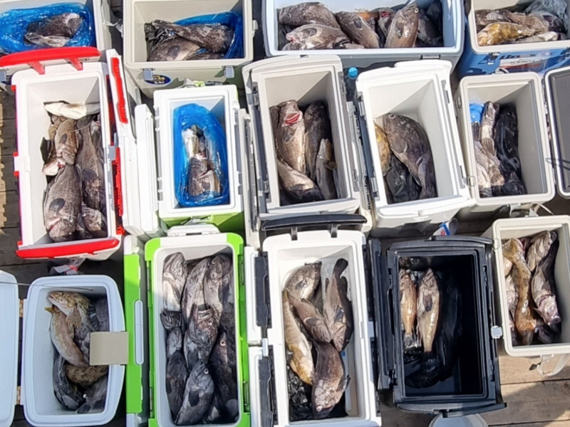 행운호 조황갤러리입니다.