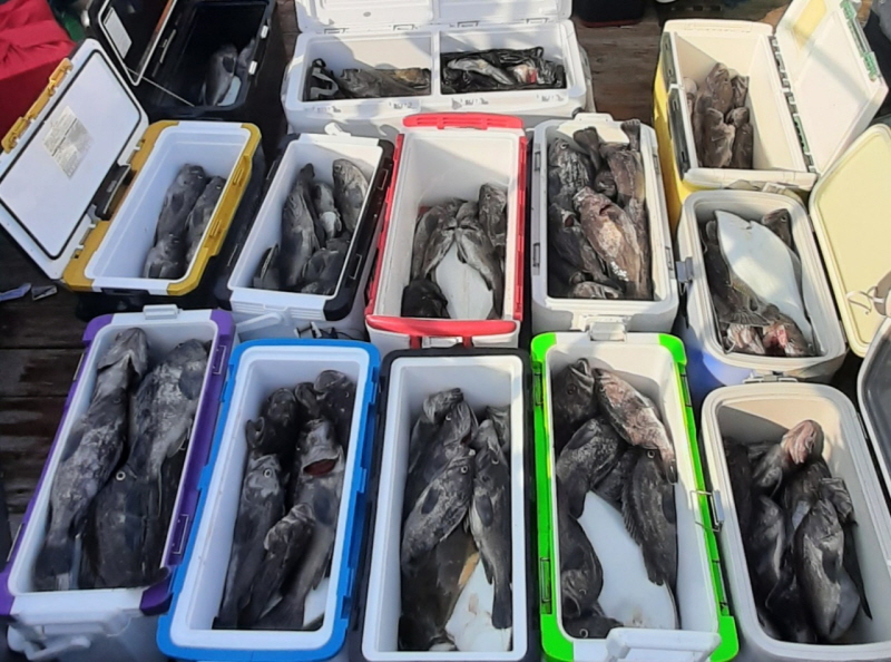 행운호 조황갤러리입니다.