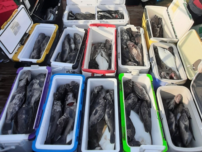 행운호 조황갤러리입니다.