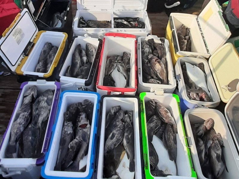 행운호 조황갤러리입니다.