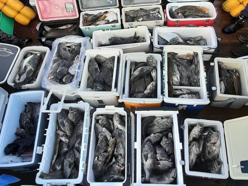 행운호 조황갤러리입니다.