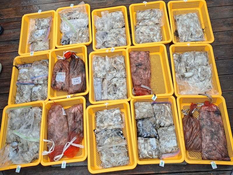 행운호 조황갤러리입니다.