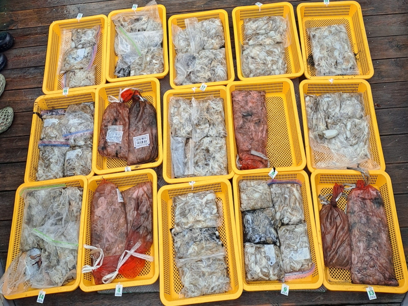 행운호 조황갤러리입니다.