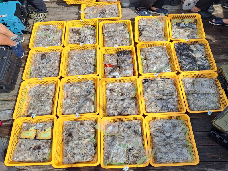 행운호 조황갤러리입니다.