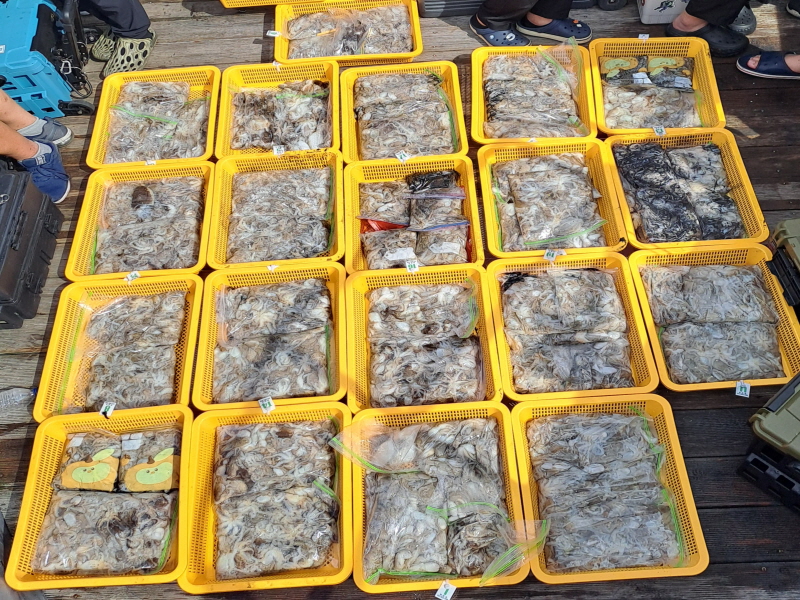 행운호 조황갤러리입니다.