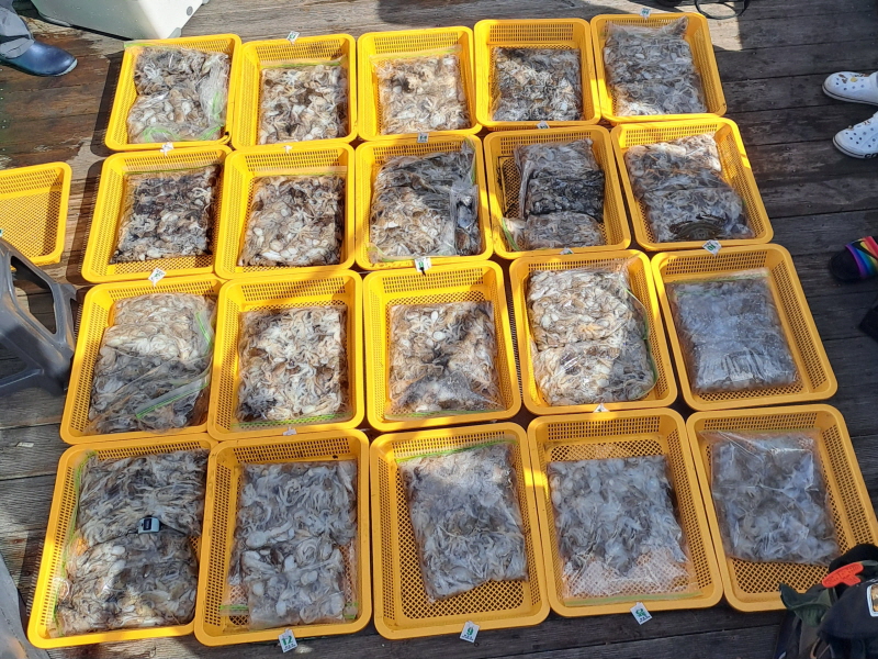 행운호 조황갤러리입니다.