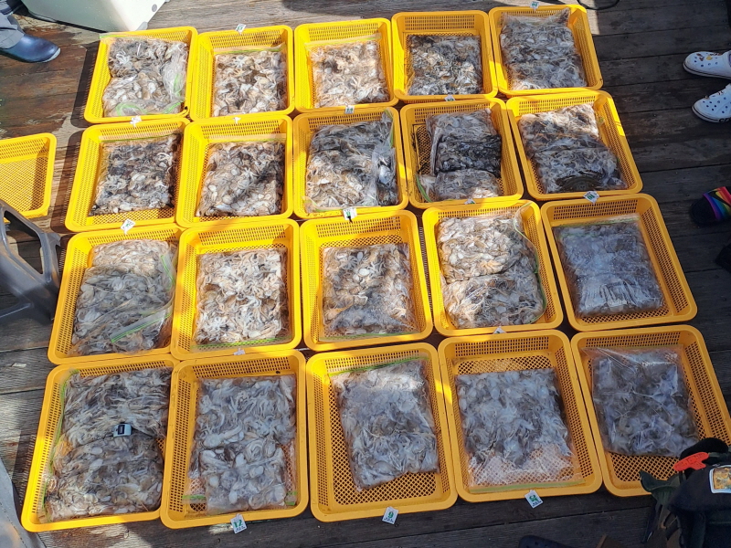 행운호 조황갤러리입니다.