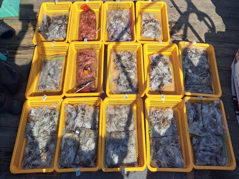 행운호 조황갤러리입니다.