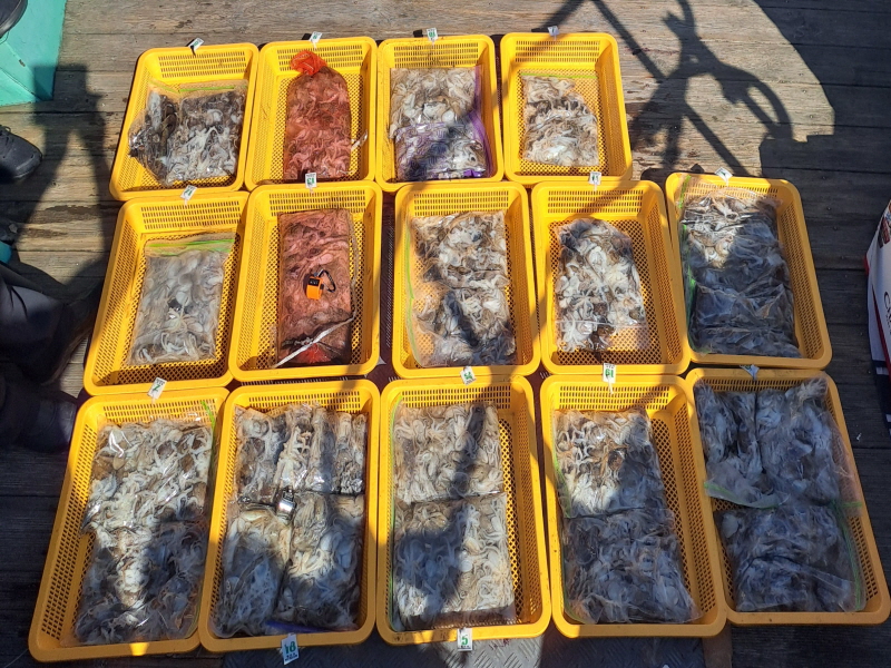 행운호 조황갤러리입니다.