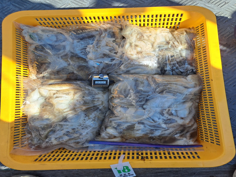 행운호 조황갤러리입니다.