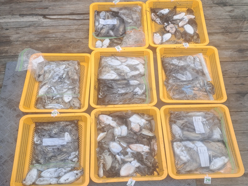 행운호 조황갤러리입니다.