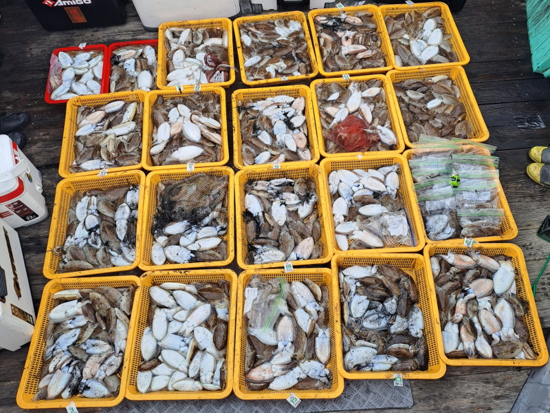 행운호 조황갤러리입니다.