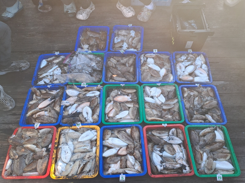 행운호 조황갤러리입니다.