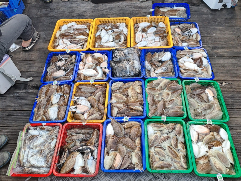 행운호 조황갤러리입니다.