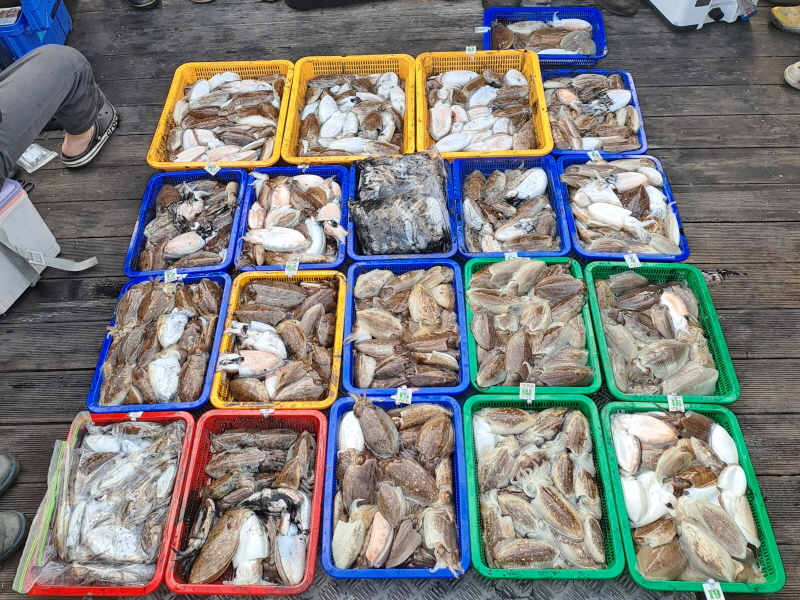 행운호 조황갤러리입니다.