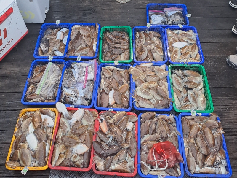 행운호 조황갤러리입니다.