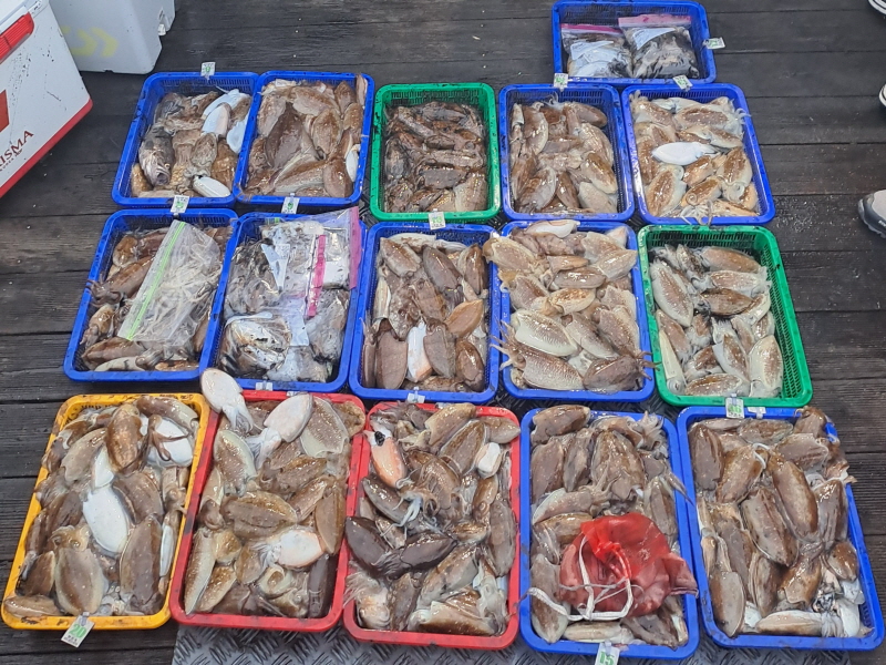 행운호 조황갤러리입니다.