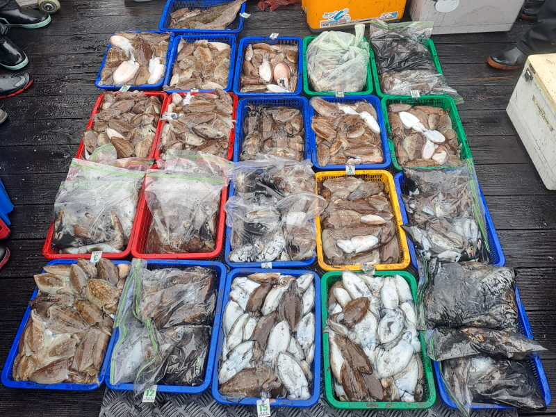 행운호 조황갤러리입니다.