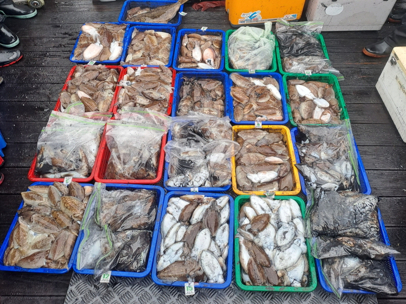 행운호 조황갤러리입니다.