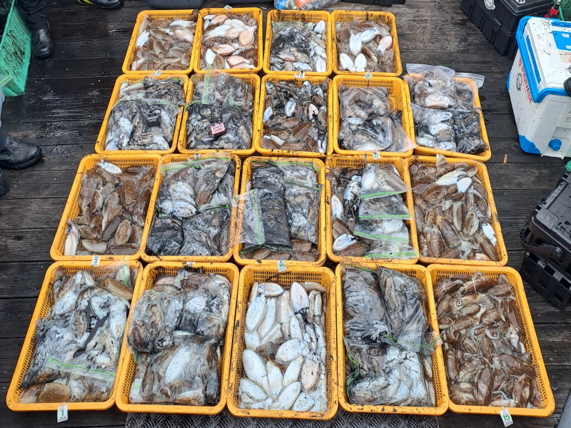 행운호 조황갤러리입니다.